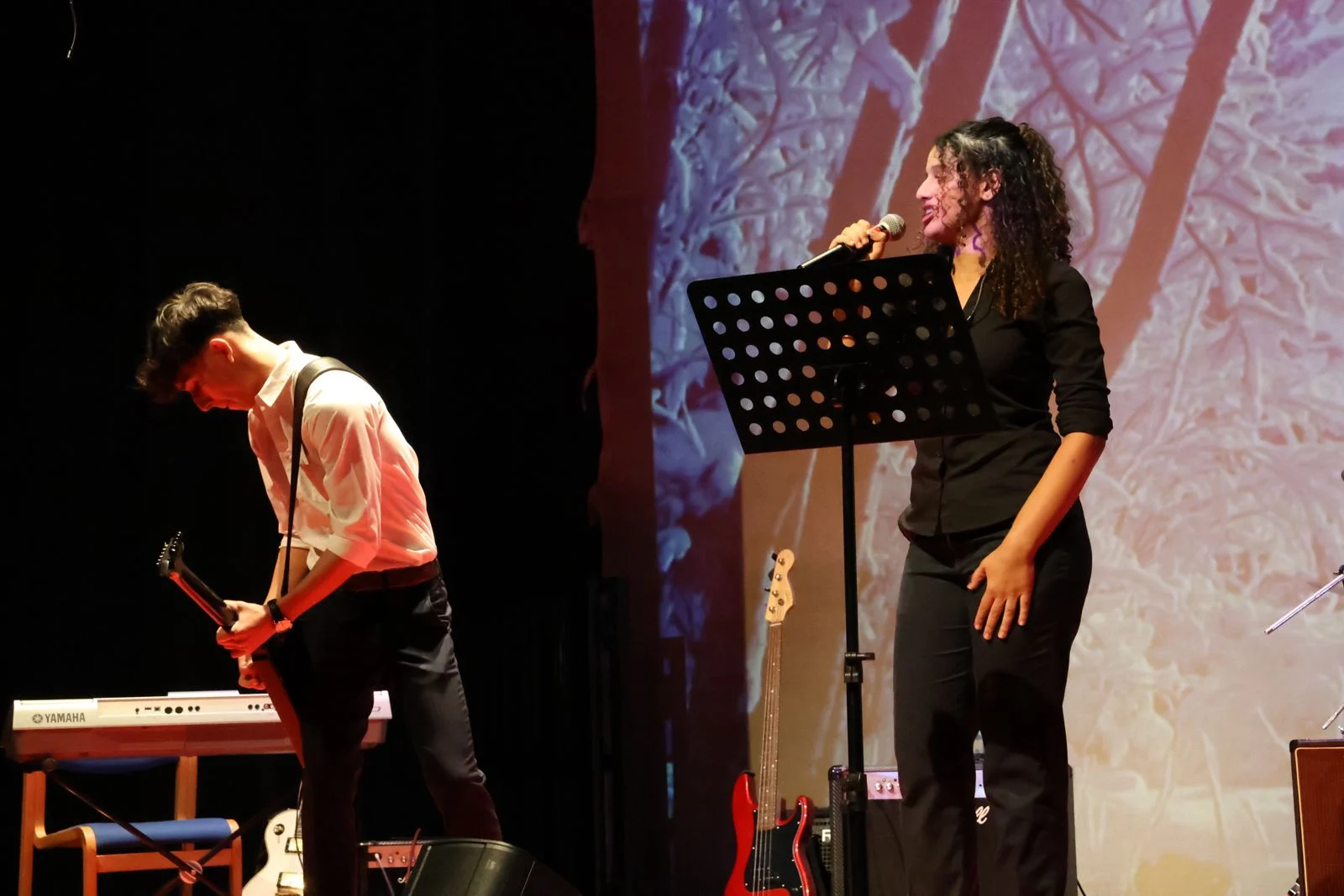 Concert Photo
